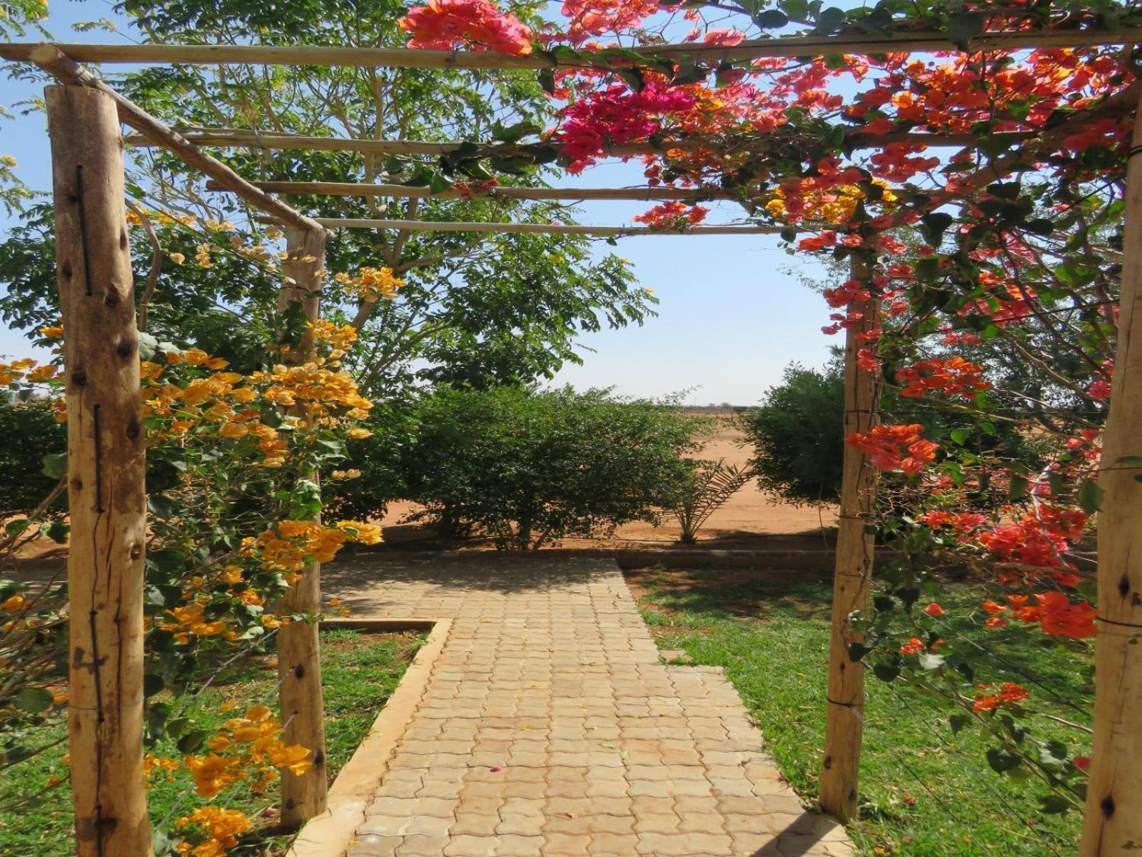 Tropic Of Capricorn Guest Farm Ξενοδοχείο Rehoboth Εξωτερικό φωτογραφία
