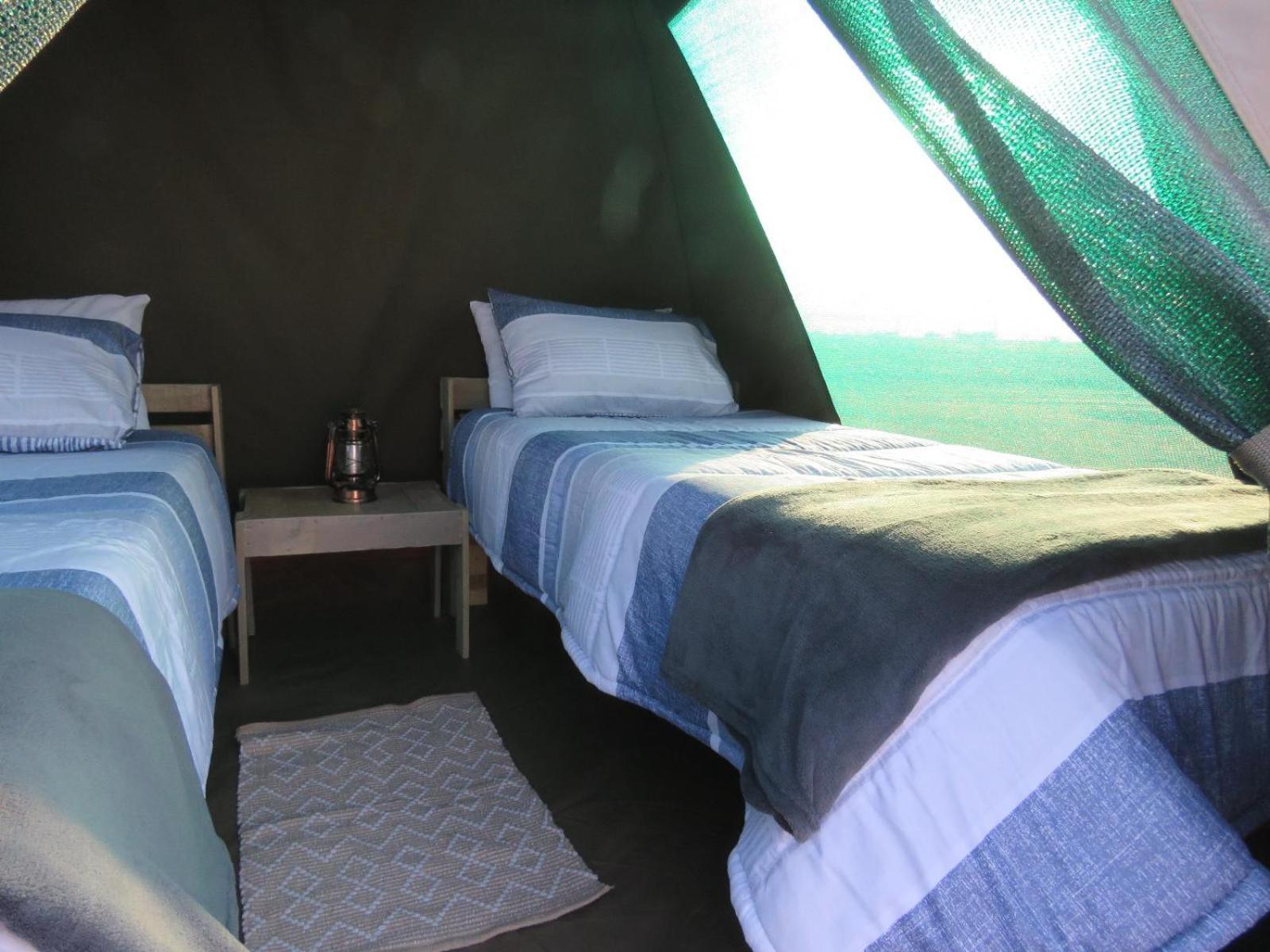 Tropic Of Capricorn Guest Farm Ξενοδοχείο Rehoboth Δωμάτιο φωτογραφία