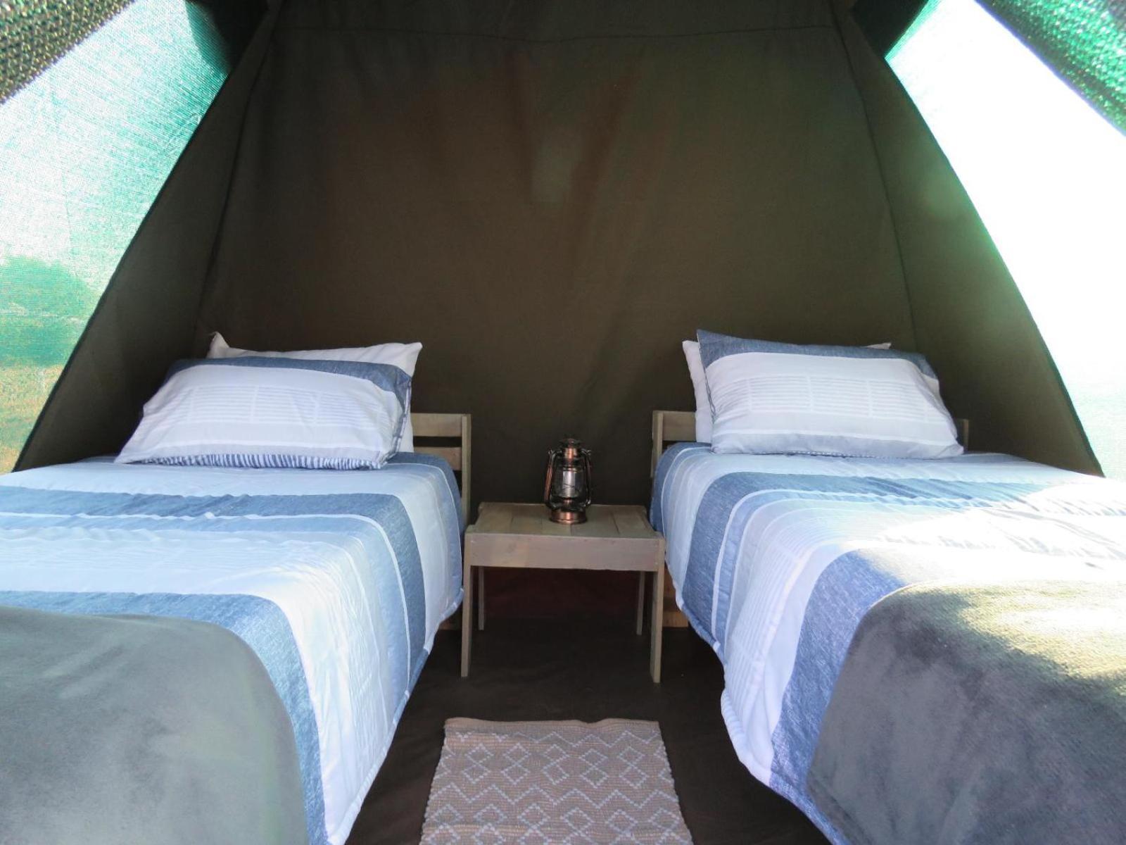 Tropic Of Capricorn Guest Farm Ξενοδοχείο Rehoboth Δωμάτιο φωτογραφία